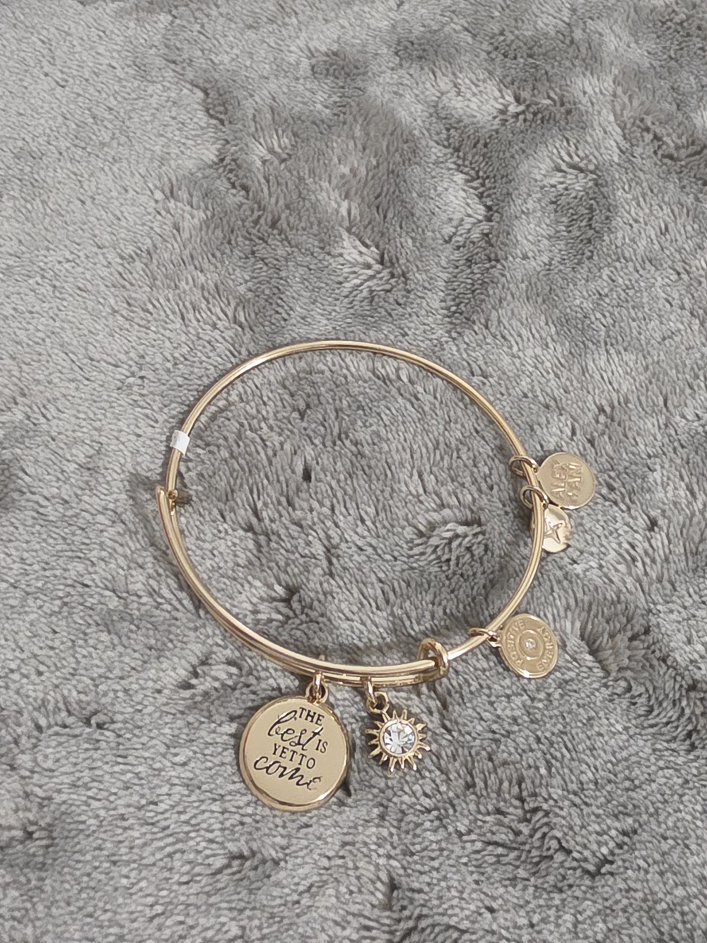Alex and Ani Gold Charm Bangle Bracelet